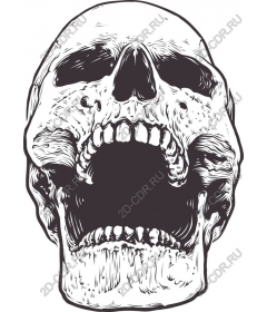 Premium Skull