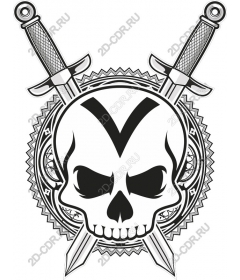 Acute skull and swords