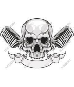  A skull and a vintage microphone
