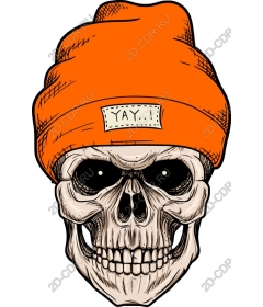  Bright orange skull cap