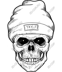 Skull with cap