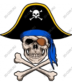 Pirate skull with crossed bones