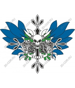 Daring skull and sheet