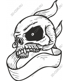 Vintage skull with banner