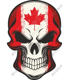  Canadian skull