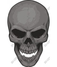 Intricate skull