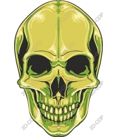  Bright skull of a stranger