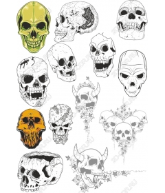 Set Of Skulls-High Quality