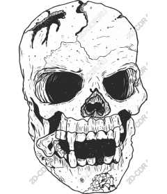  Breathtakingly detailed skull