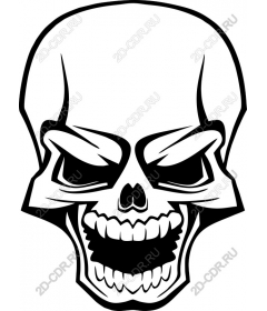  Bold Skull