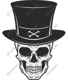  Elegant skull in cylinder