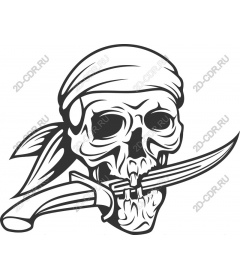  Epic pirate skull and saber