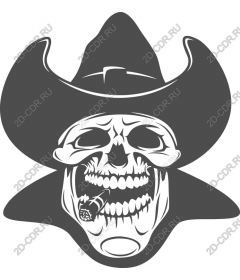  Cowboy skull in hat