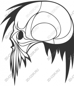  Bold Skull