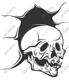 Blast the skulls