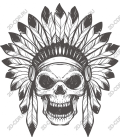 Magnificent skull with Indian headdress