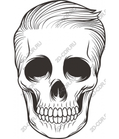 Vintage skull