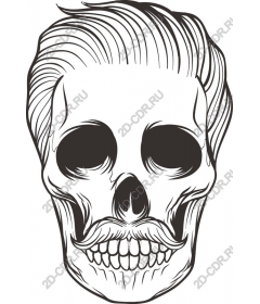 Vintage skull with mustache and hair