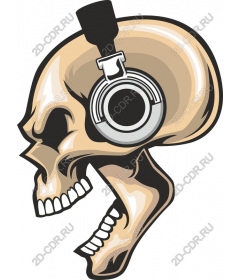 Headphones Skulls