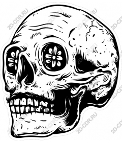  Floral skull