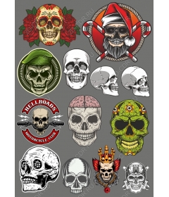 Complete set of skulls