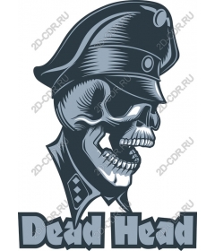  Dead Head