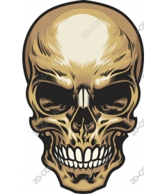 Spicy skull