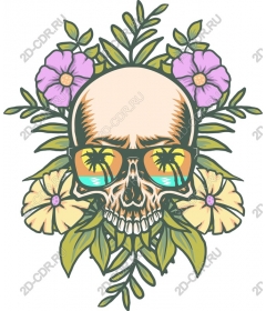  Tropical skull