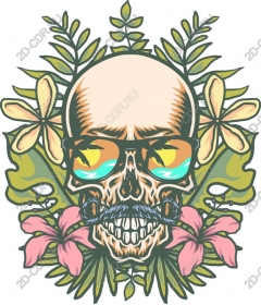 Tropical skull