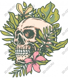  Tropical skull with floral accents