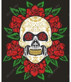  Bright skull and roses