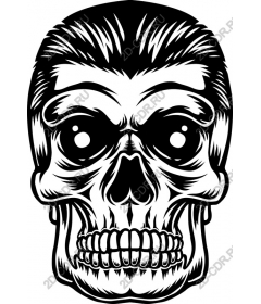  Black and white skull