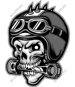  A fierce skull with a helmet and goggles