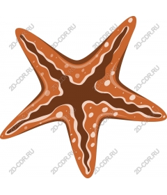  Bright starfish