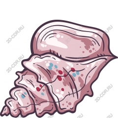  Fancy pink shell