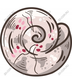  Fancy shell