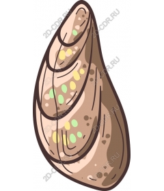  Stylized shell