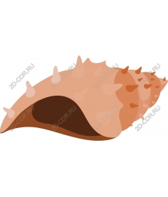  Ракушка