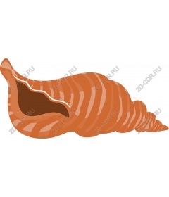  Adorable shell