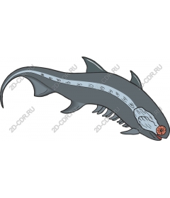 Dunkleosteus prehistoric