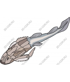  Stylized fish