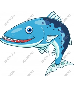  Cartoon fish