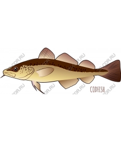  Cod