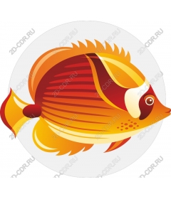  Bright colorful fishes