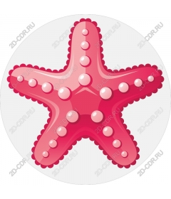  Bright red starfish