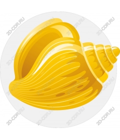 Golden shell