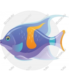  Bright underwater fish