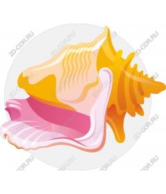  Bright shell