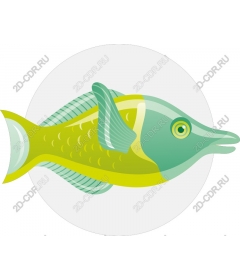  Stylized fish