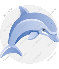 Dolphin - playful Navy blue